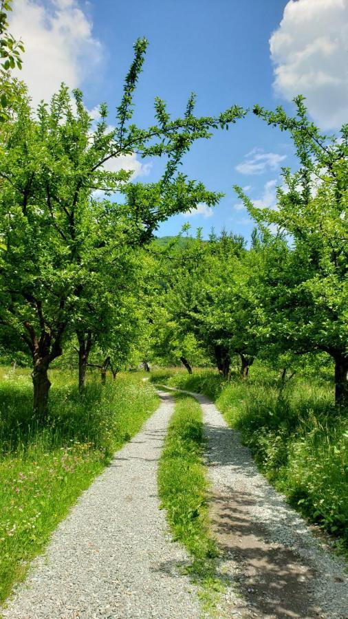 Farmstead Haven * Mojkovac