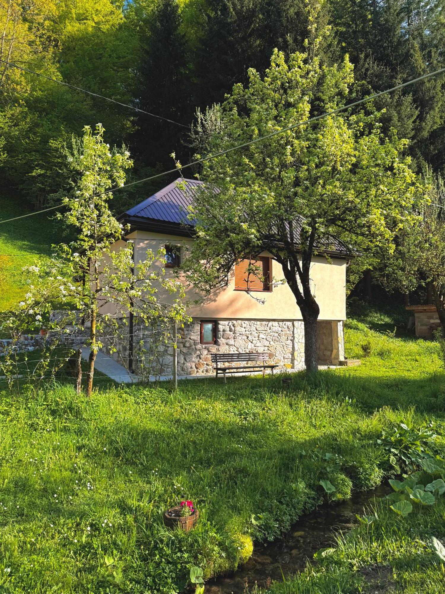 Farmstead Haven * Mojkovac